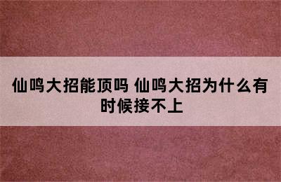 仙鸣大招能顶吗 仙鸣大招为什么有时候接不上